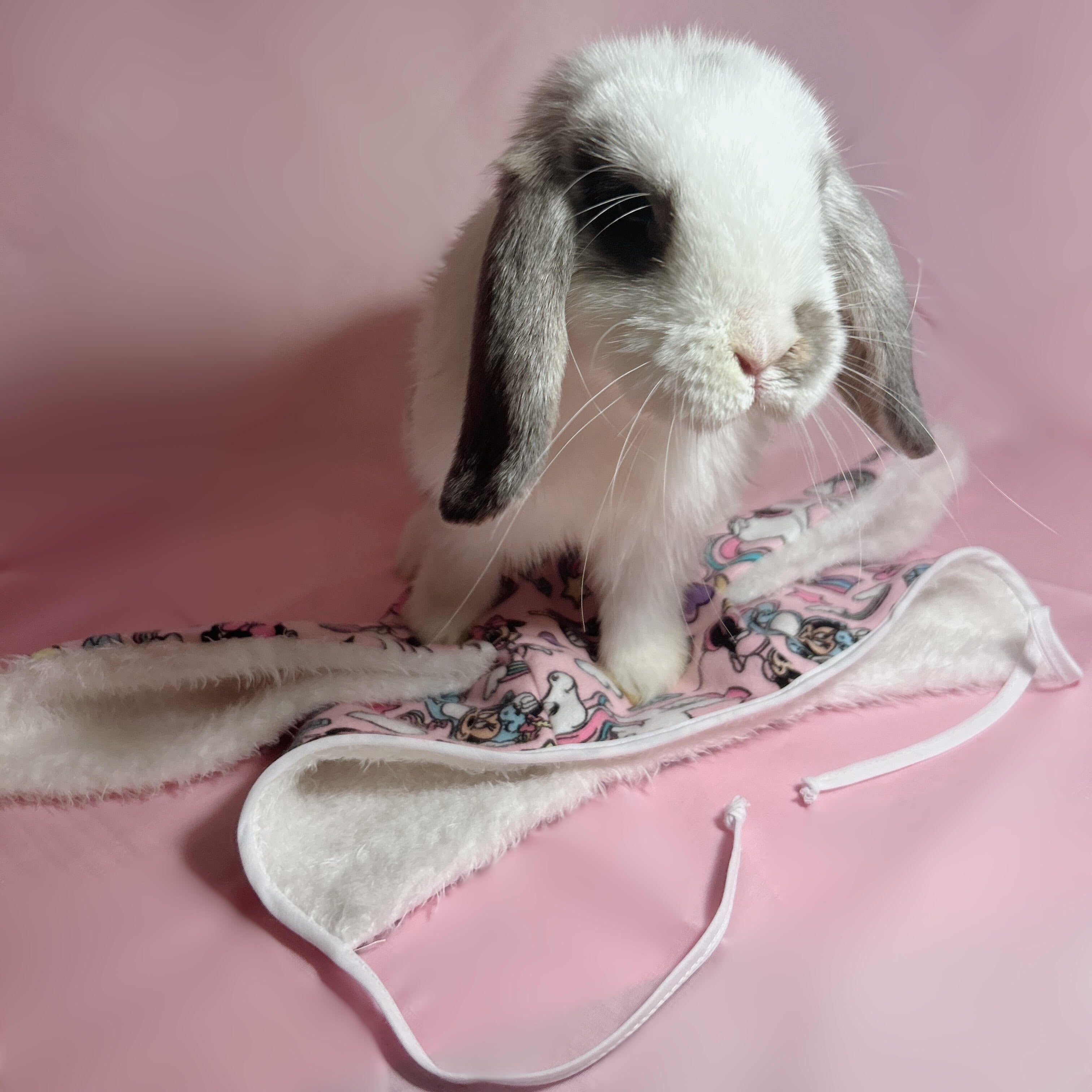 lop bunny hovering over baby bunny bonnet 
indigenous owned small business 
small shop 
bunny bonnet 
animal baby bonnet 